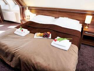 Отель Hotel Austeria Conference & Spa Цехоцинек Двухместный номер с 1 кроватью или 2 отдельными кроватями-3