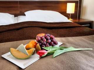 Отель Hotel Austeria Conference & Spa Цехоцинек Одноместный номер-5